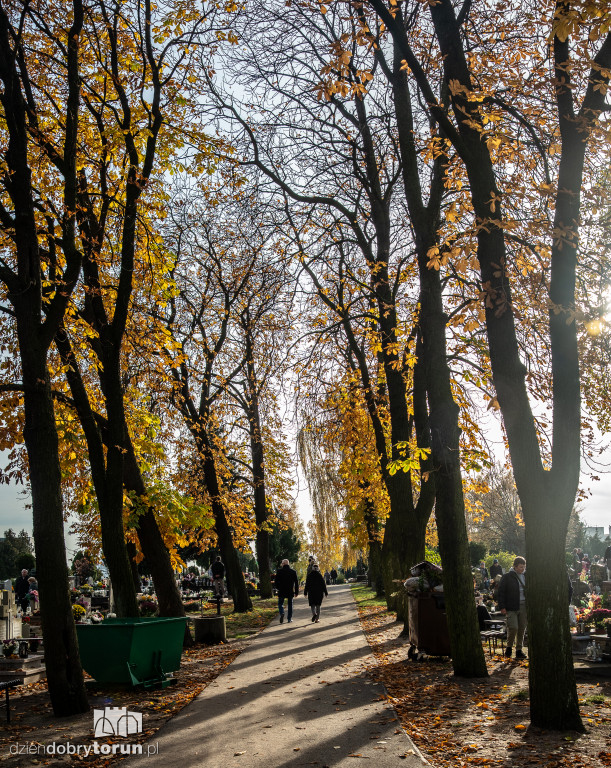  1 listopada na Cmentarzu Komunalnym nr 2