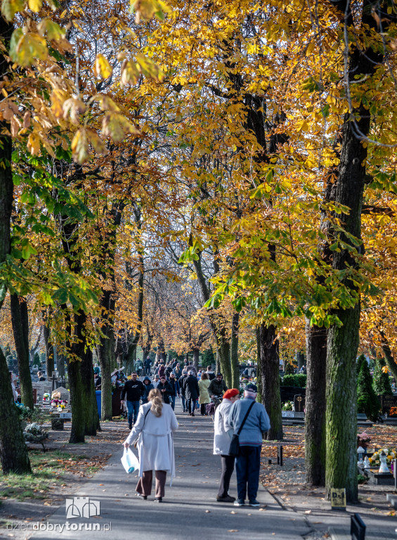 1 listopada na Cmentarzu Komunalnym nr 2