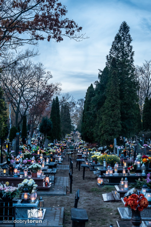 1 listopada na cmentarzu przy Poznańskiej