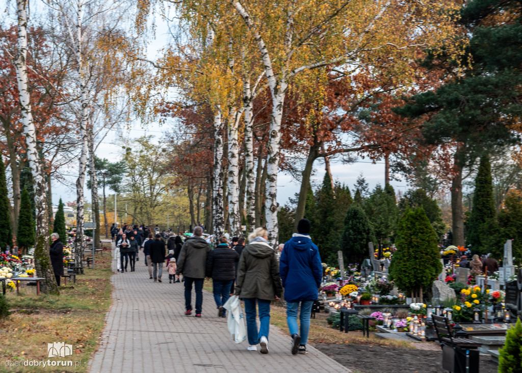 1 listopada na cmentarzu przy Poznańskiej