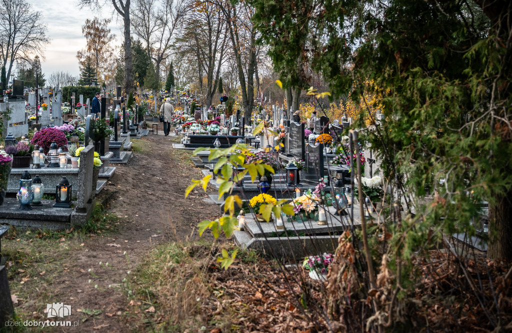 1 listopada na cmentarzu przy Poznańskiej