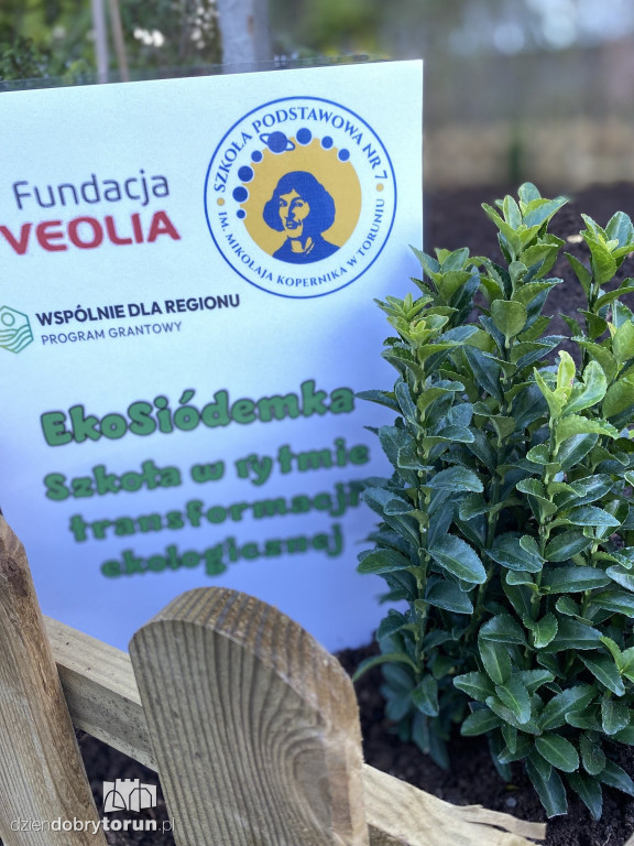 Siódemka zakłada ogródek edukacyjny