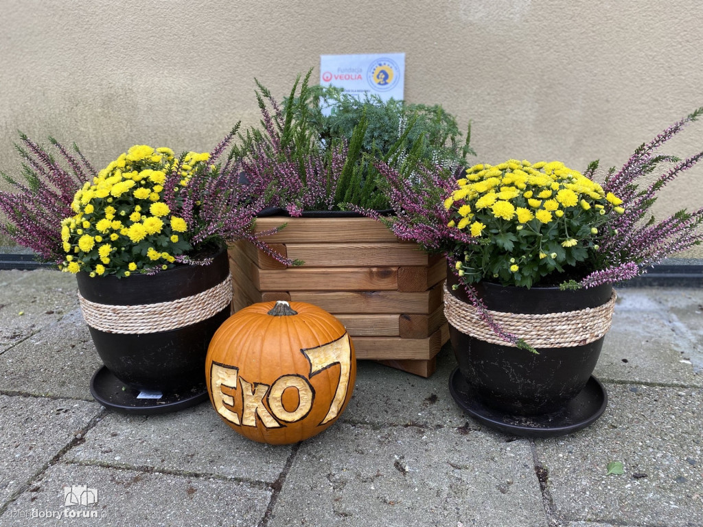 Siódemka zakłada ogródek edukacyjny