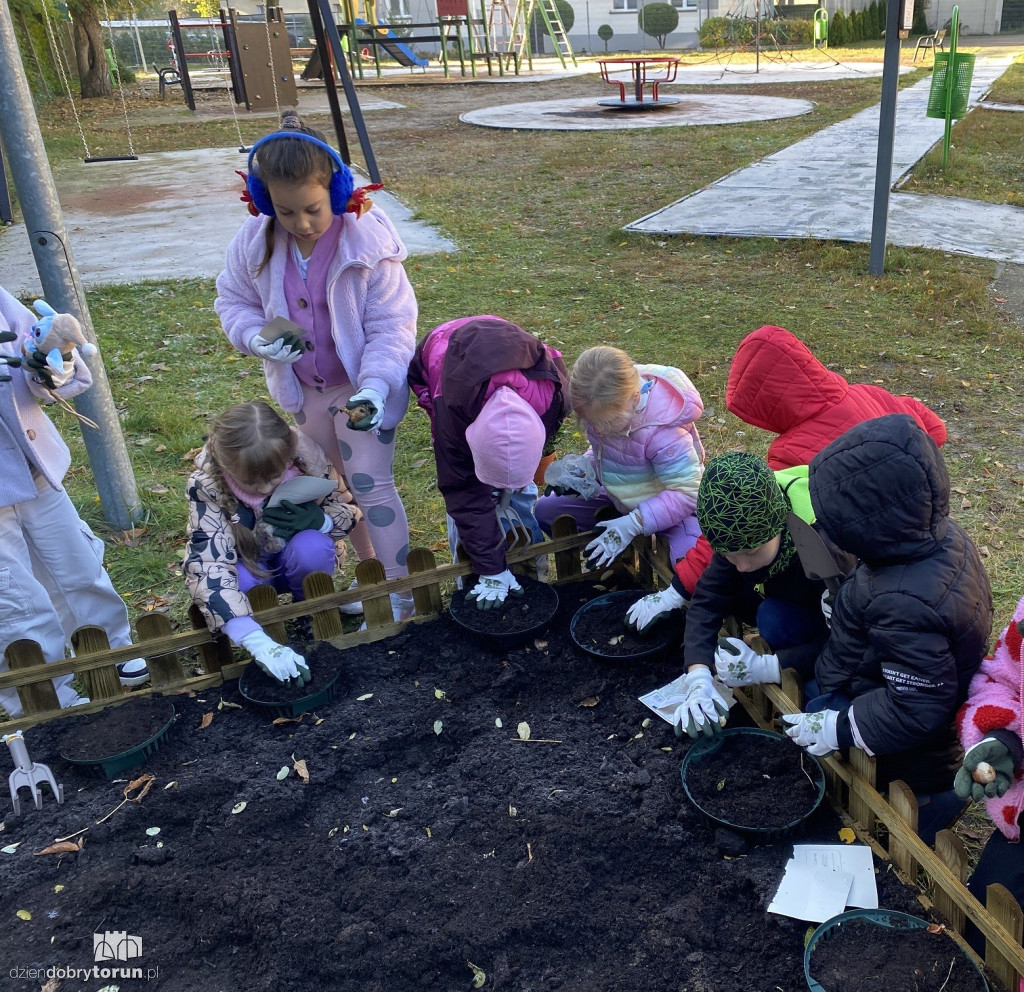 Siódemka zakłada ogródek edukacyjny