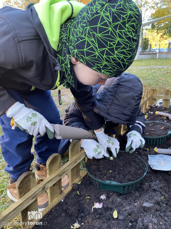 Siódemka zakłada ogródek edukacyjny