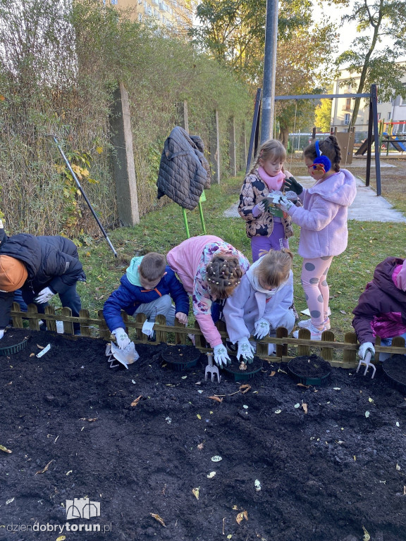 Siódemka zakłada ogródek edukacyjny