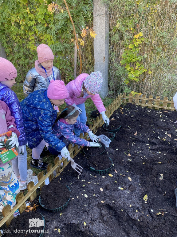 Siódemka zakłada ogródek edukacyjny