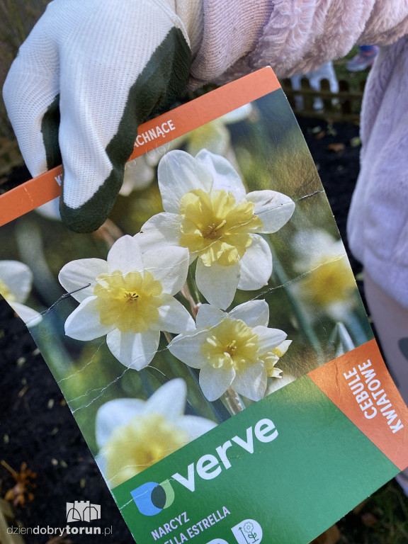 Siódemka zakłada ogródek edukacyjny