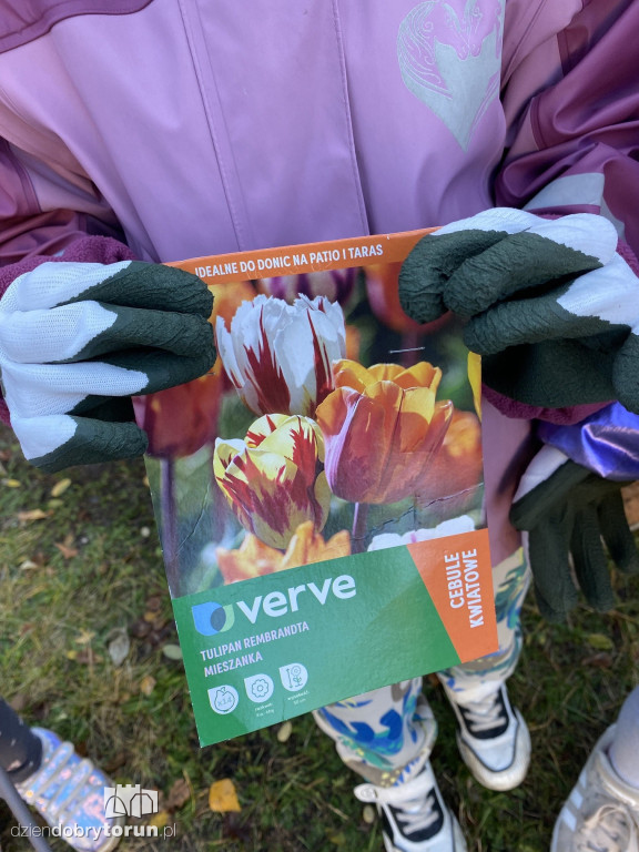 Siódemka zakłada ogródek edukacyjny