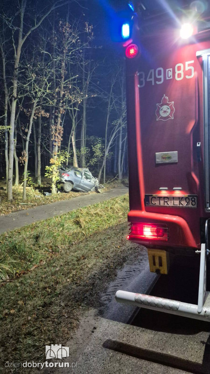 Wypadek w Pędzewie