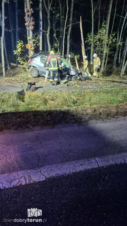 Wypadek w Pędzewie