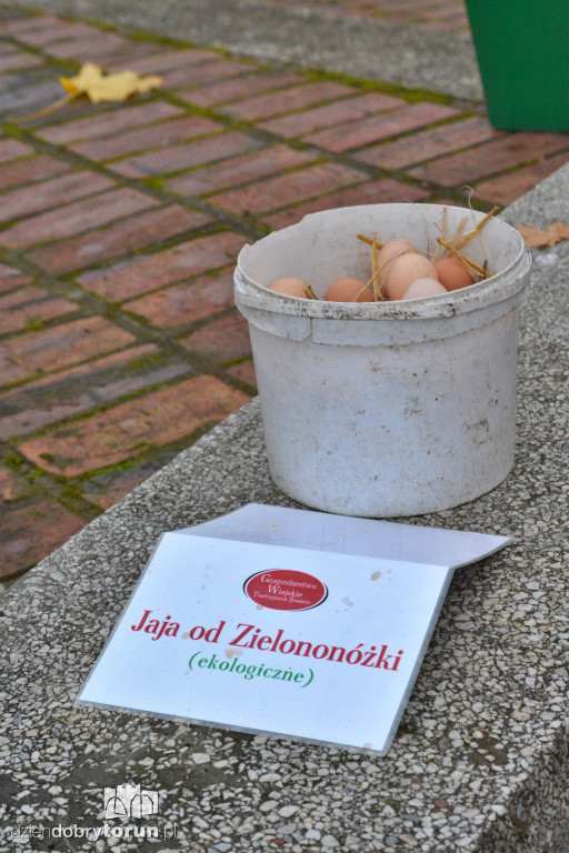 Jarmark ekologiczny w Toruniu