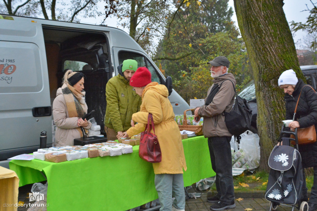 Jarmark ekologiczny w Toruniu