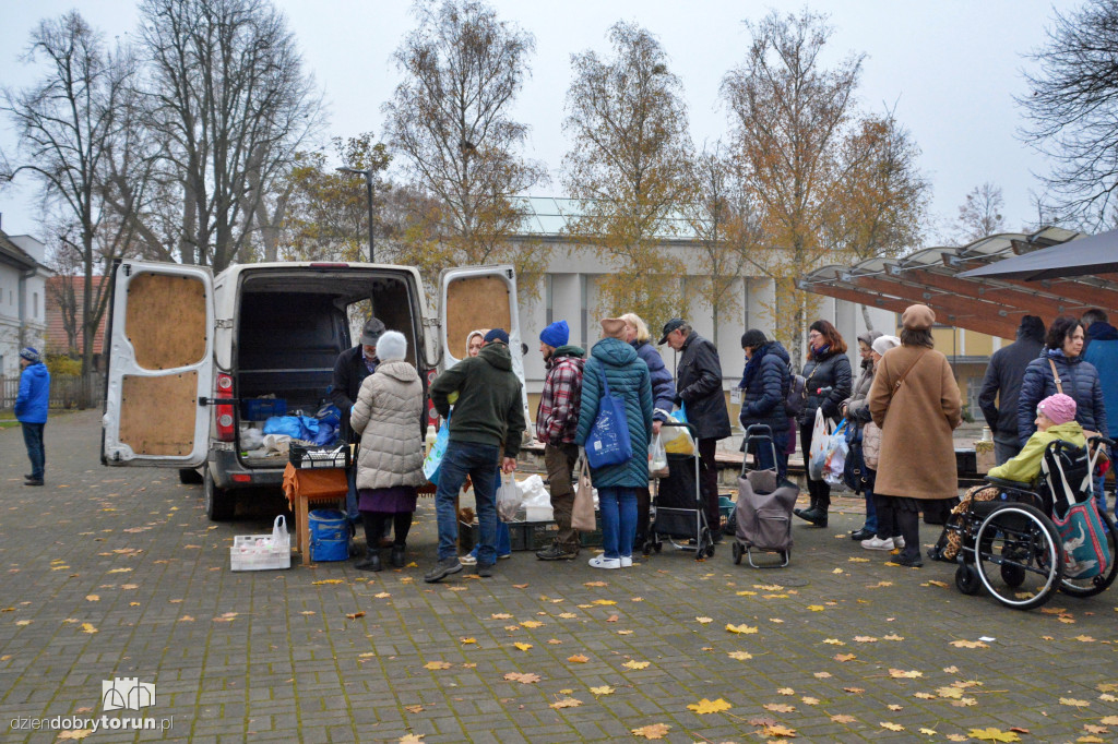 Jarmark ekologiczny w Toruniu