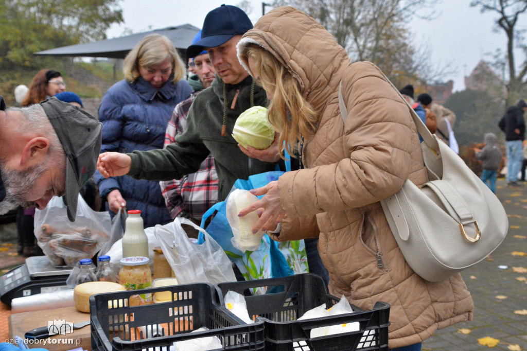 Jarmark ekologiczny w Toruniu