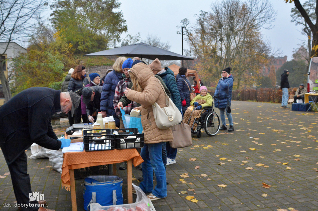 Jarmark ekologiczny w Toruniu