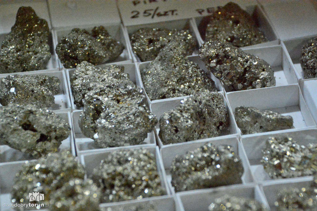 Giełda Biżuterii i Minerałów w Toruniu
