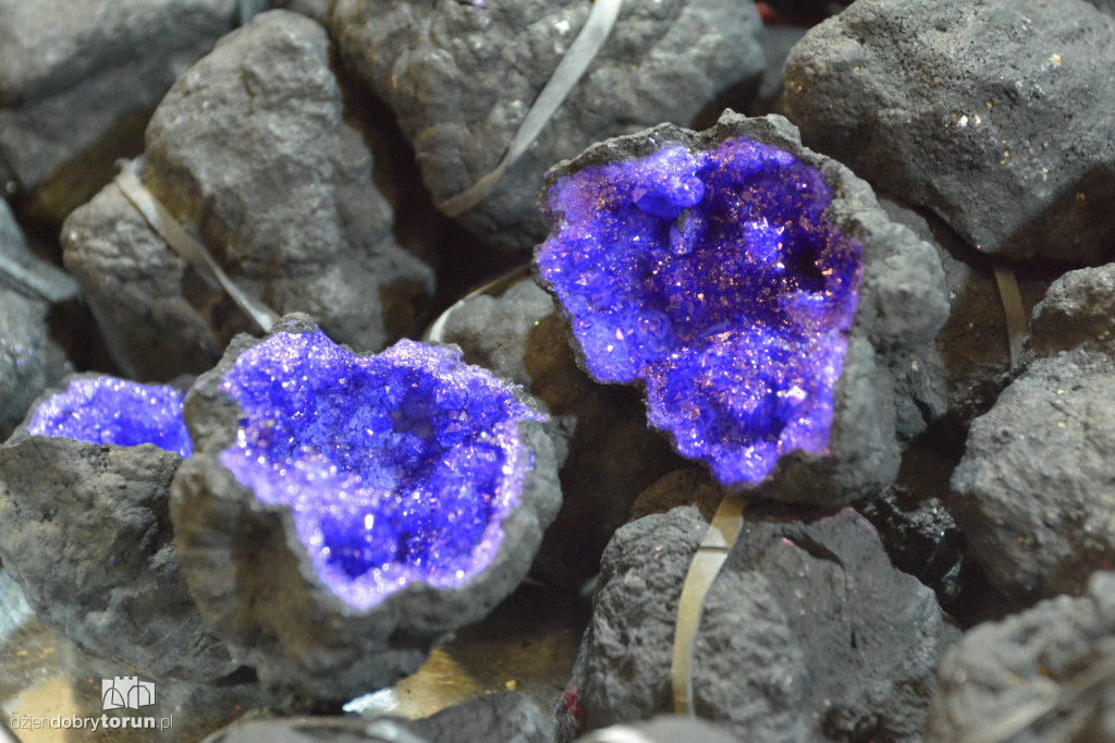 Giełda Biżuterii i Minerałów w Toruniu