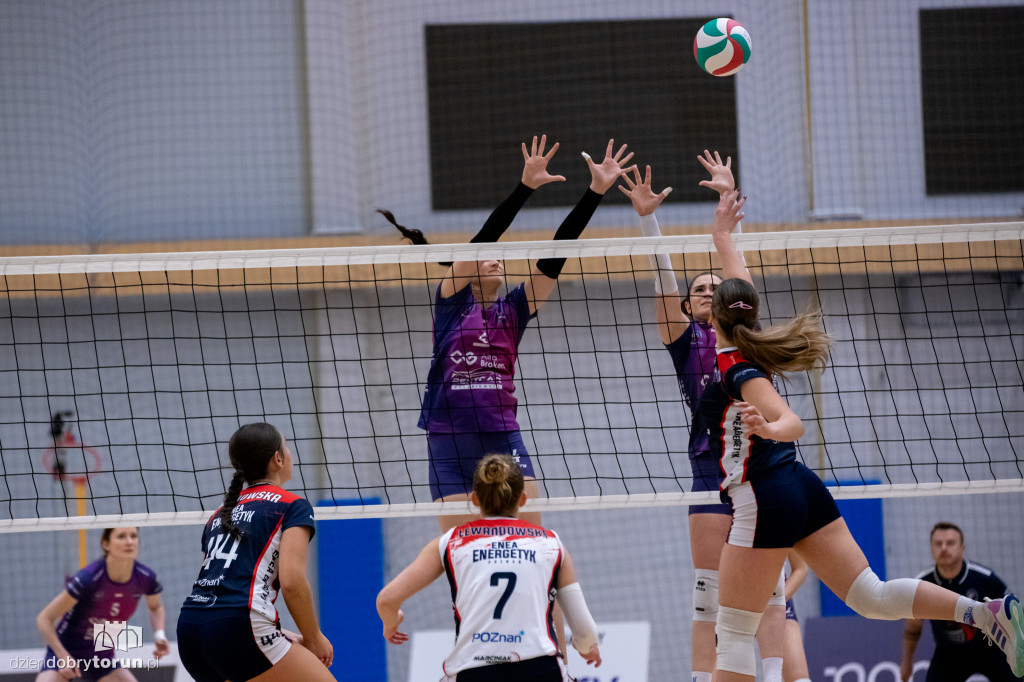 Skarpa Toruń : Enea Energetyk Poznań