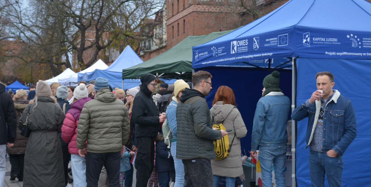 Piknik Patriotyczny na Bulwarze Filadelfijskim
