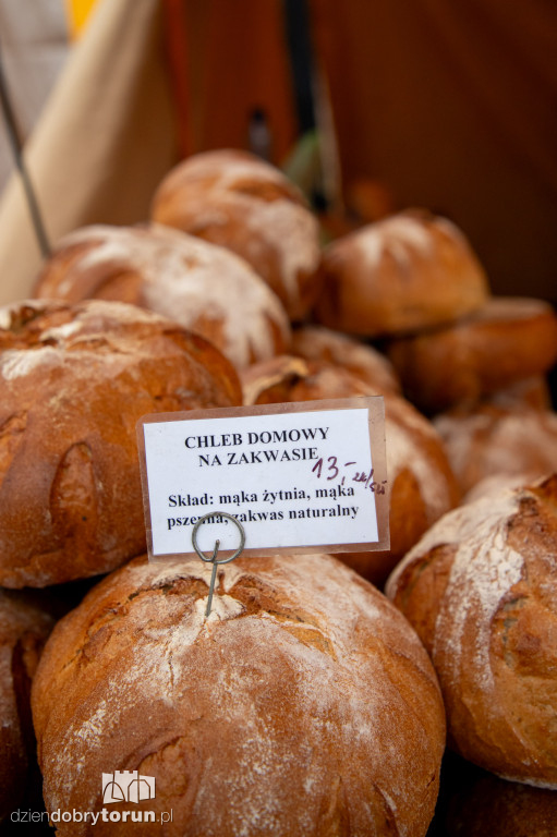 Festiwal gęsiny w Przysieku