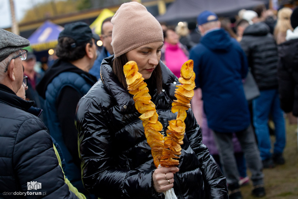 Festiwal gęsiny w Przysieku
