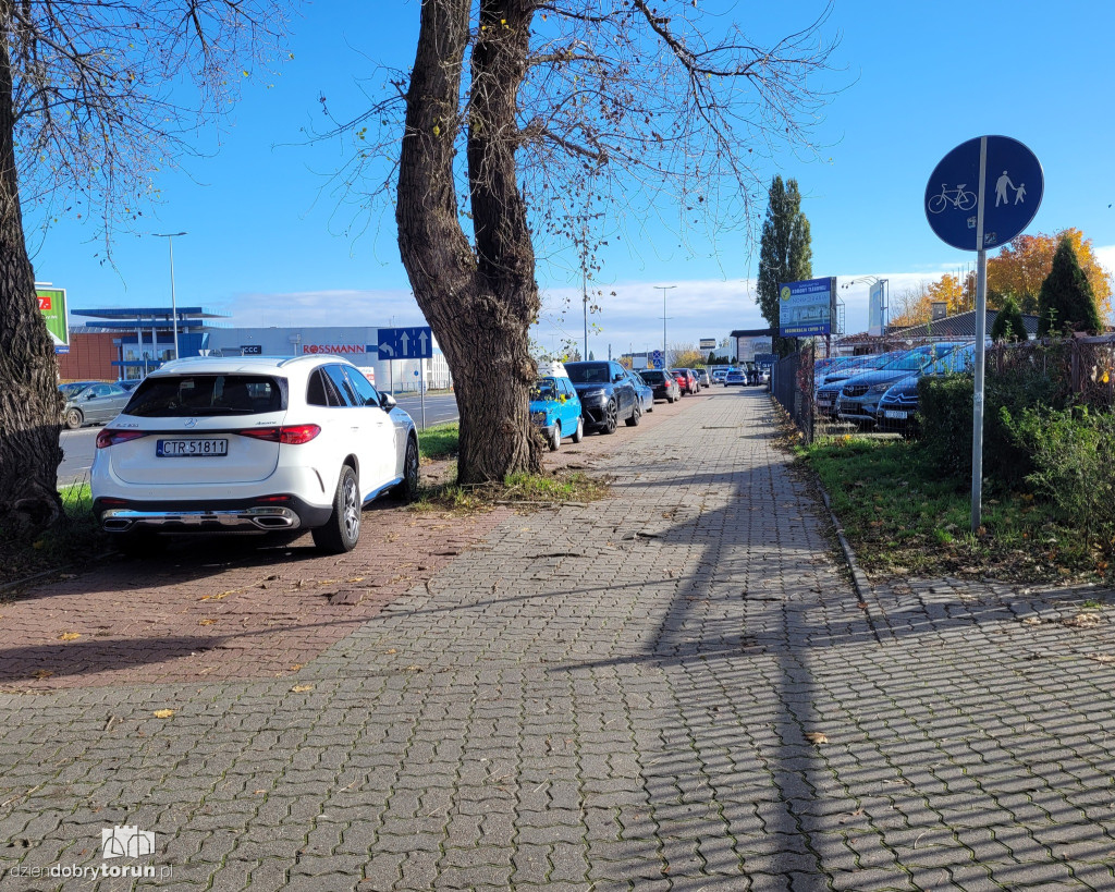 Mistrzowie Parkowania z Torunia