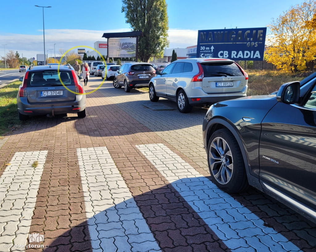 Mistrzowie Parkowania z Torunia