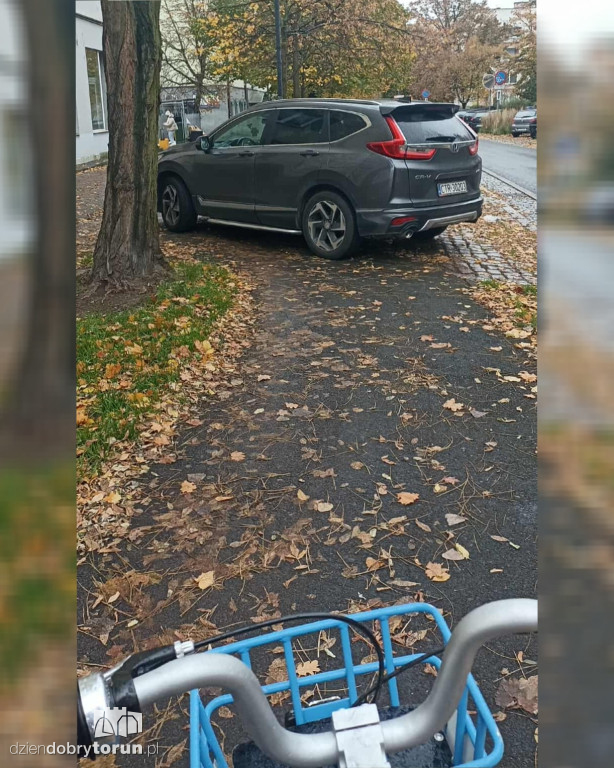 Mistrzowie Parkowania z Torunia