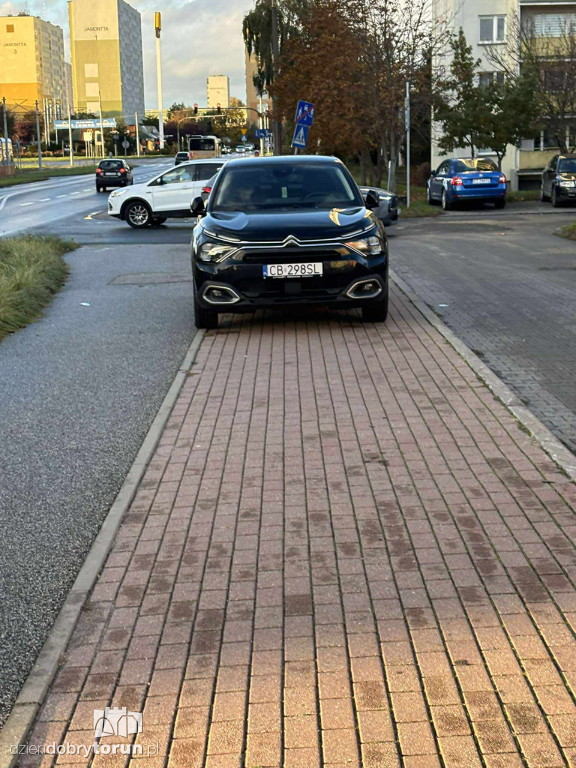 Mistrzowie Parkowania z Torunia