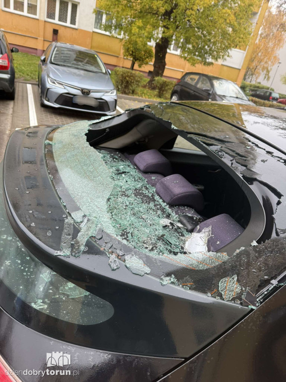 Mistrzowie Parkowania z Torunia