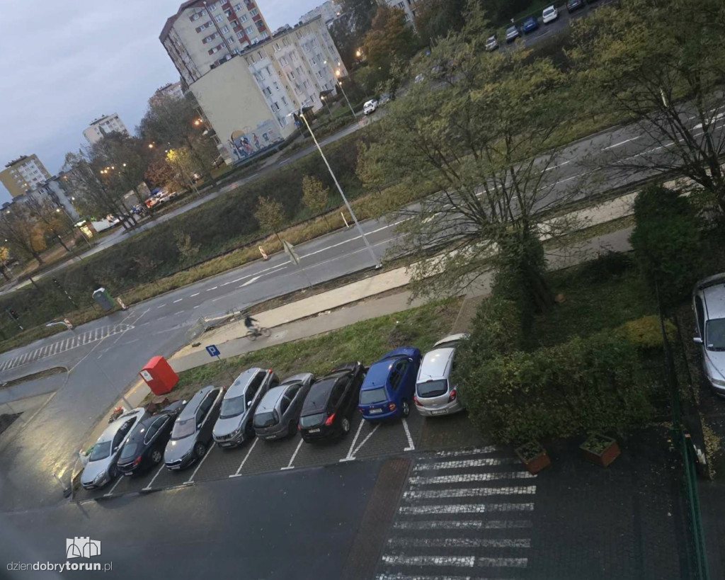 Mistrzowie Parkowania z Torunia