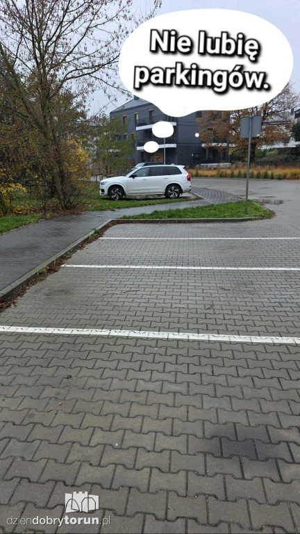 Mistrzowie Parkowania z Torunia