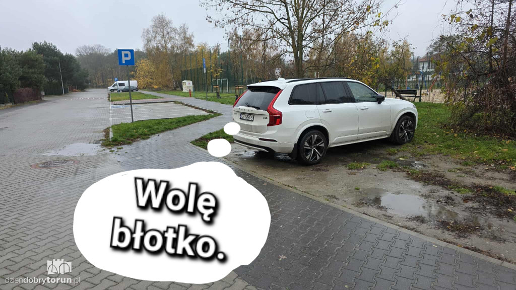 Mistrzowie Parkowania z Torunia