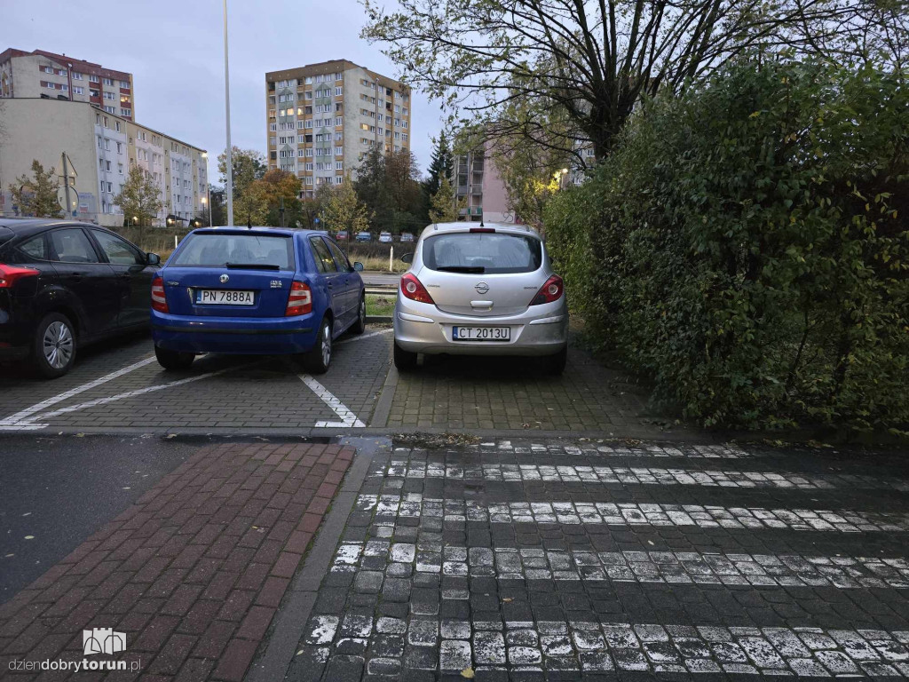 Mistrzowie Parkowania z Torunia