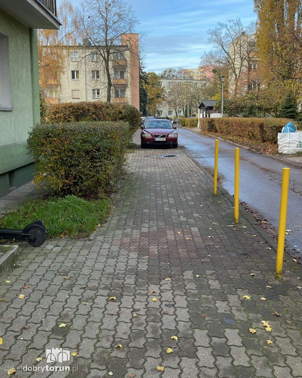 Mistrzowie Parkowania z Torunia