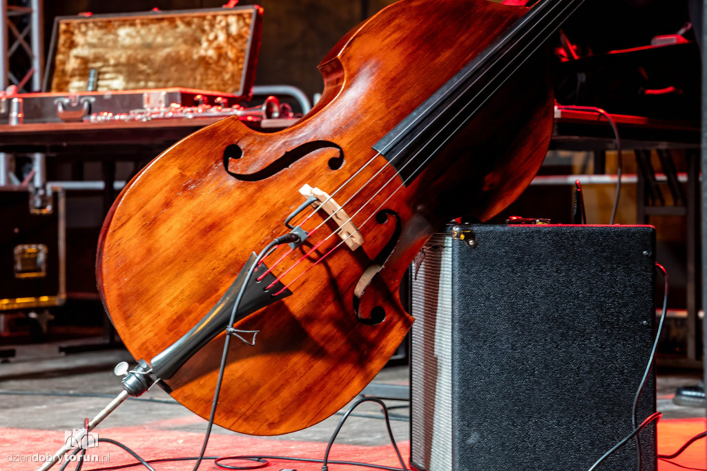 I dzień Festiwalu Piernika w Toruniu