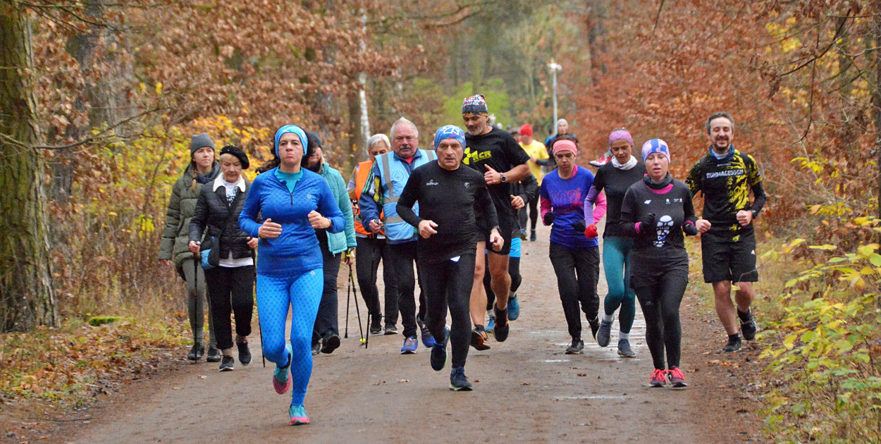 Sobotni Parkrun w Toruniu