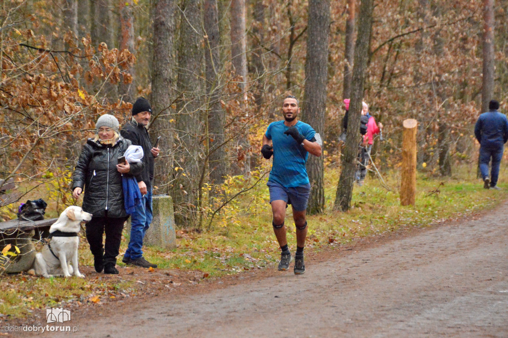 Sobotni Parkrun w Toruniu