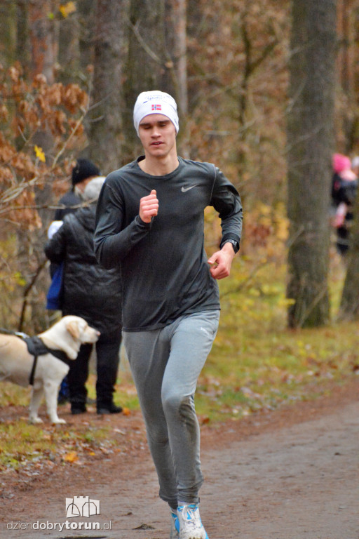 Sobotni Parkrun w Toruniu