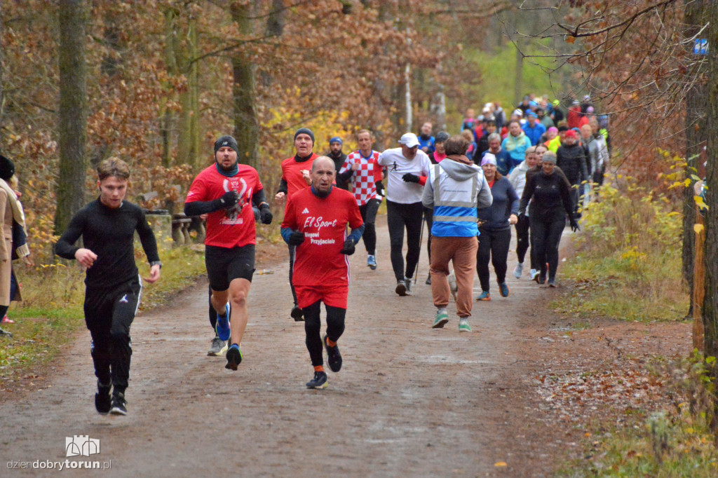Sobotni Parkrun w Toruniu