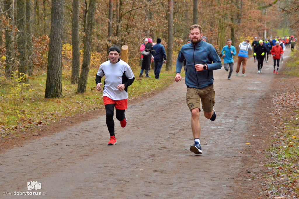 Sobotni Parkrun w Toruniu