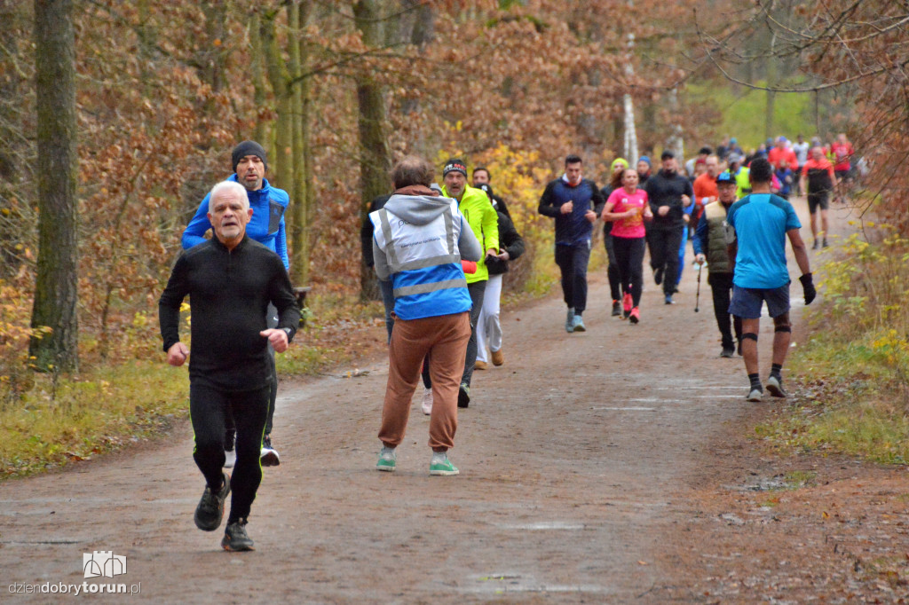 Sobotni Parkrun w Toruniu