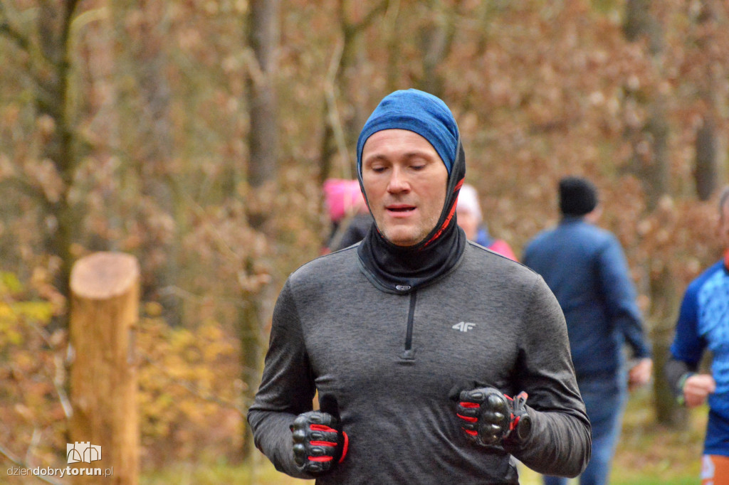 Sobotni Parkrun w Toruniu