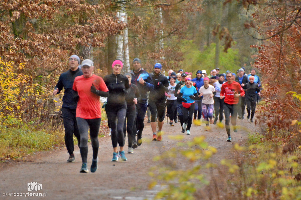 Sobotni Parkrun w Toruniu