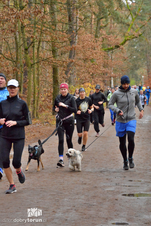Sobotni Parkrun w Toruniu
