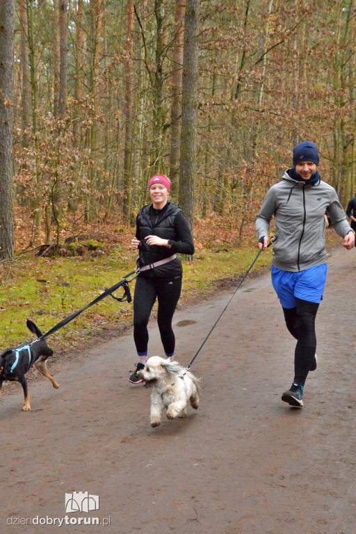 Sobotni Parkrun w Toruniu