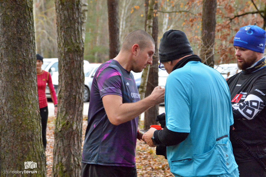 Sobotni Parkrun w Toruniu