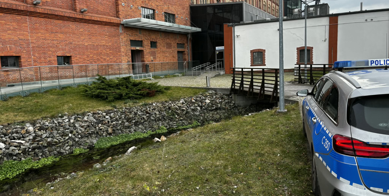 Dramatyczne odkrycie nad ciekiem wodnym