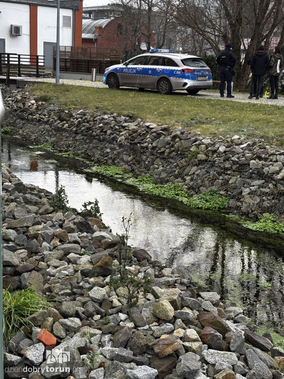 Dramatyczne odkrycie nad ciekiem wodnym